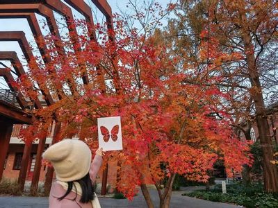 640 (42).jpg 640 (42).jpg